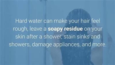 Top Rated Everpure Water Filter Disposal